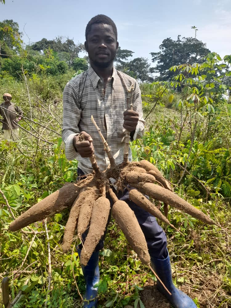 WhatsApp Image 2024-05-19 at 19.37.23