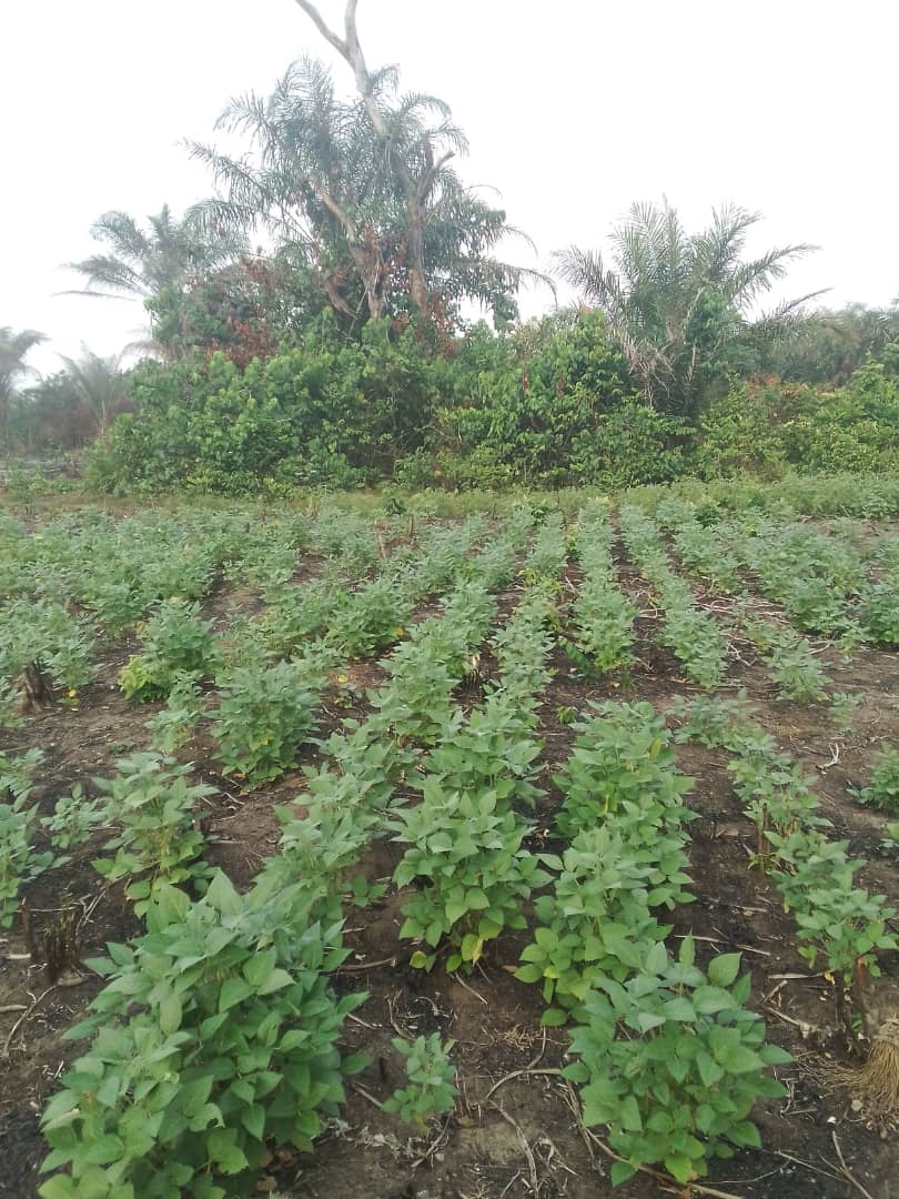 WhatsApp Image 2024-05-19 at 19.40.28