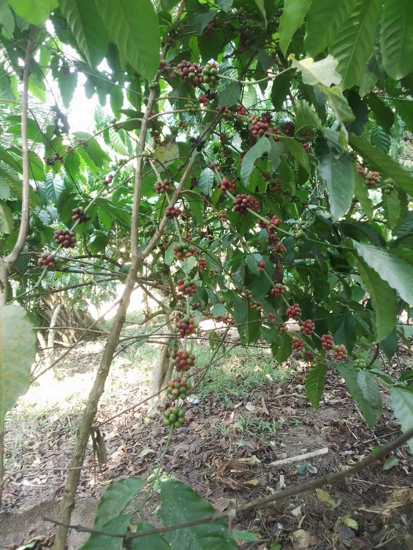 WhatsApp Image 2024-05-20 at 13.25.51