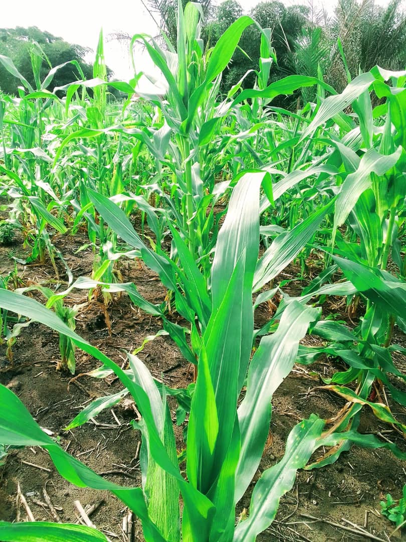 WhatsApp Image 2024-05-20 at 15.23.27