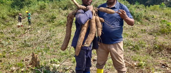 WhatsApp Image 2024-05-19 at 19.38.00